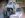 ugly-IMG_1150.jpg