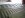 ugly-IMG_1469.jpg