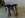 spindles.jpg spindles.jpg