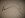 carb & brakelines 004.jpg