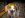 IMG00097-20100716-1953.jpg