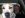 IMG00093-20100715-1531.jpg
