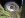 downsized_0728000922.jpg