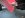 DSCF2081.JPG