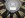 closeup - 10 inch.JPG