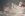 DSC02277.jpg