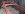 Frame Primed2.JPG
