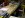 DSCN3075.JPG