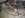 DSC02851.JPG