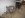 IMG_0234.JPG IMG_0234.JPG