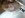 DSCN3104.JPG