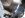 thanksgoiving2010 016b.jpg