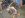 DSCN1725.JPG