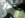 DSC00010.JPG
