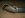 Front_driveshaft3.jpg