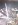 100MEDIA_IMAG0230.jpg