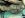 Fred CUCV France Diff Rear View.jpg