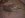 20110127170312[1].jpg