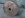 DSCN3213.JPG