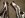 headers2466.jpg