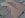 IMG00102-20110403-1600.jpg