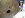 DSCN3333.JPG
