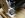 DSCN3334.JPG