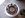 drw 88-up 003.jpg drw 88-up 003.jpg