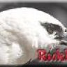 Rukh