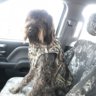 goosehauler