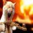 packrat666