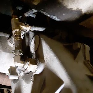 NP241 SYE issue