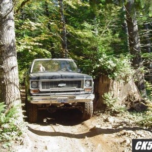 Through_the_woods3