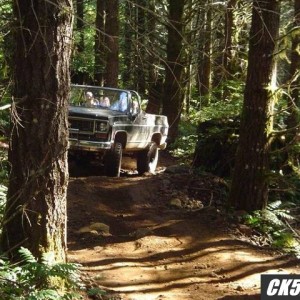 Through_the_woods1
