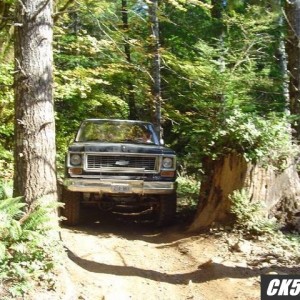Through_the_woods2