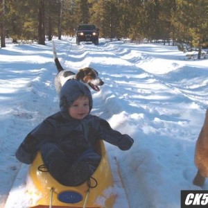 17875Liam_on_sled