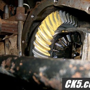 pinionf_004_copy