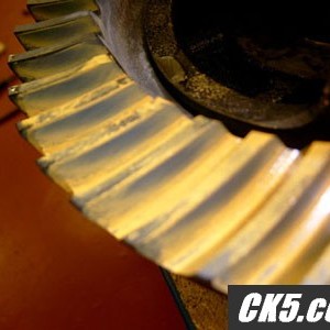 pinion1_011_copy