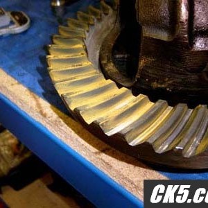 pinion1_005_copy