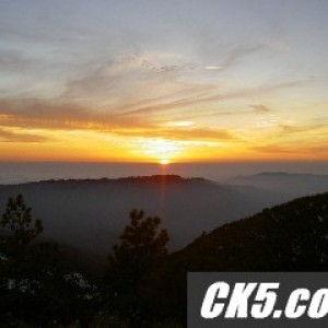 resizedPicture_613