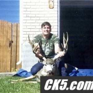deer 02