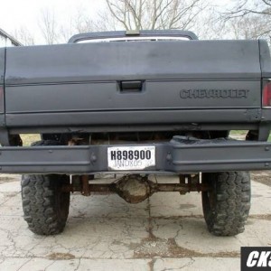 blackback