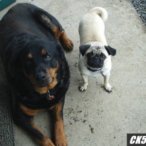 Sasha_and_Altheia