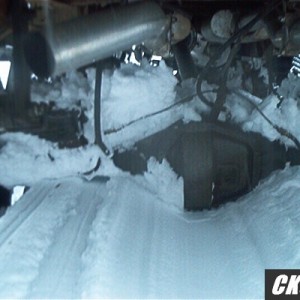 Picture_308