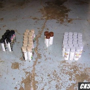 Lots of paint required for a crewcab longbed