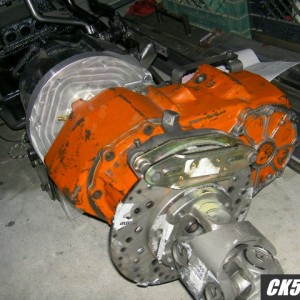 Picture_798