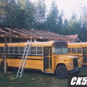 Buses