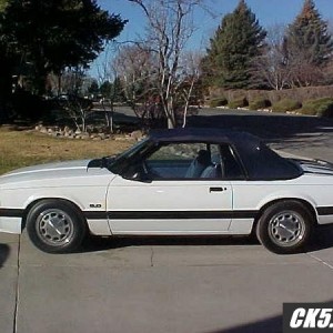 Stang 1