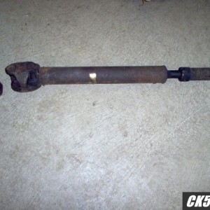 Bronco_1330_CV-r