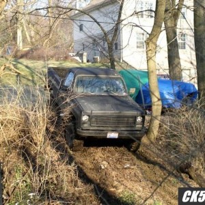 backyard21